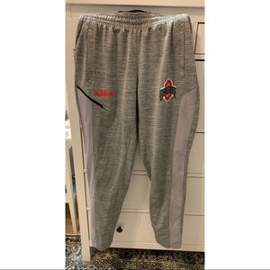 Nike Ohio State Travel Sweat Pants (Lebron James)